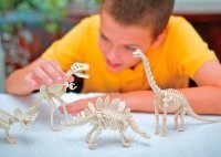 ��������������� ������-�����