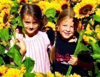 ������ �������� � "����� � ���"