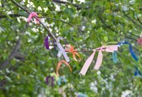 ����������� � ������� �������� ����!