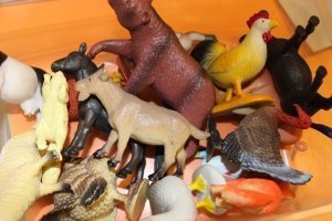 ���������