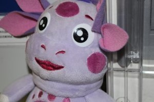 ���������