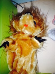 ���������