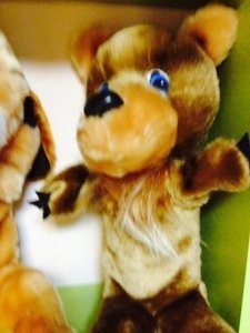 ���������