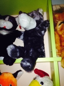 ���������